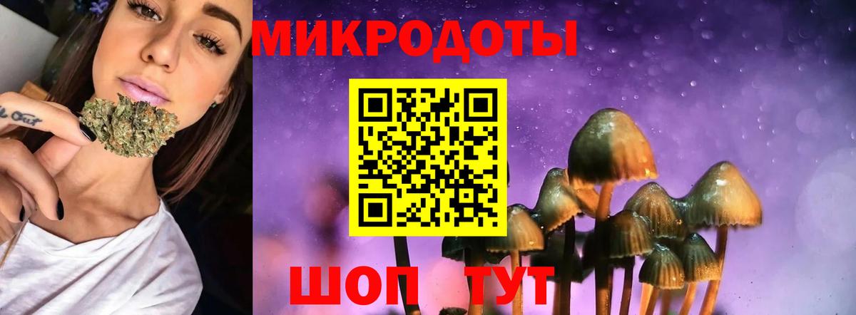 Галлюциногенные грибы Magic Shrooms Сунжа